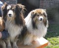 afb_20160502 (4)